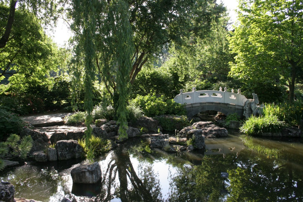 Chinese Garden, Bridge, Pond
