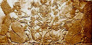 16-Cherubim-Assyria