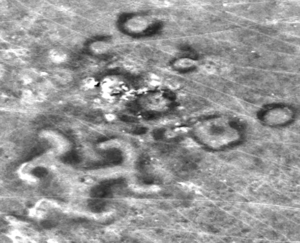 2-CA-Turgai Swastika